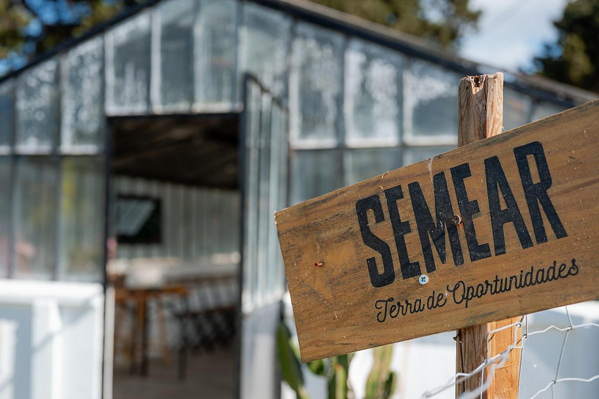 SEMEAR 1