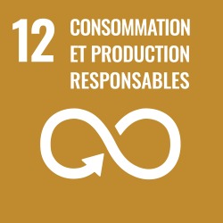 Consommation et production durables